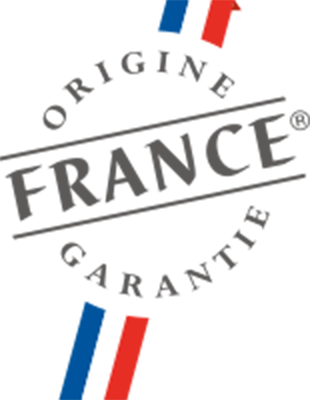 france_logo